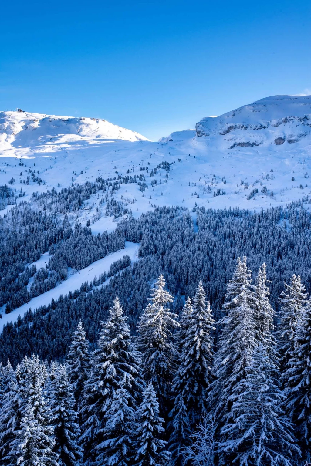 Geneva to Flaine Transfer snowy mountain landscape with forest and ski slopes